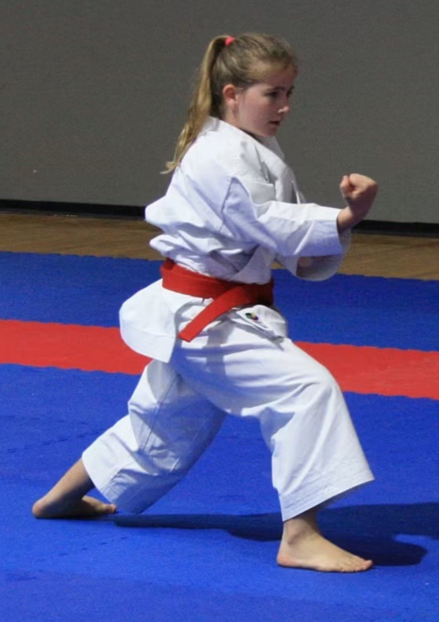 Karate Technical Practice